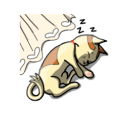 if you spend a cat sticker #8644238