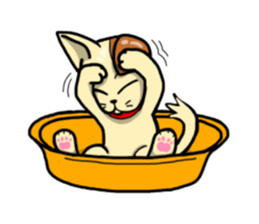 if you spend a cat sticker #8644243