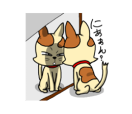 if you spend a cat sticker #8644248