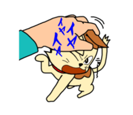 if you spend a cat sticker #8644253