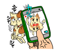 if you spend a cat sticker #8644262