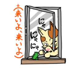 if you spend a cat sticker #8644263