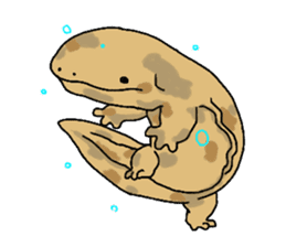 Axolotl and Giant salamander sticker #8644824