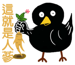 Little Blackbird small point 2 sticker #8645542