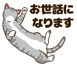 Daily cat life sticker #8645713