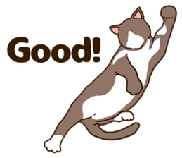 Daily cat life sticker #8645714