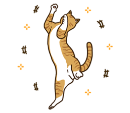Daily cat life sticker #8645716