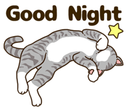 Daily cat life sticker #8645719