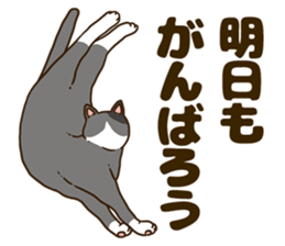 Daily cat life sticker #8645721