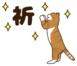 Daily cat life sticker #8645724