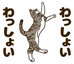 Daily cat life sticker #8645727