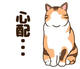 Daily cat life sticker #8645732