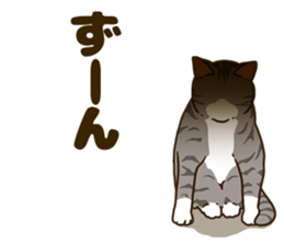 Daily cat life sticker #8645736