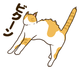 Daily cat life sticker #8645737