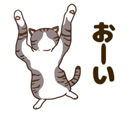 Daily cat life sticker #8645738