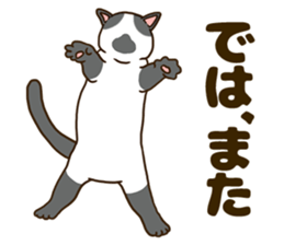 Daily cat life sticker #8645745