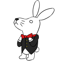 Funny Bunny Rabbit