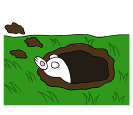 Funny Bunny Rabbit sticker #8647758