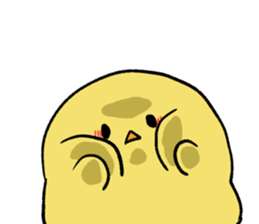 CHITCHI of a chick sticker #8648544