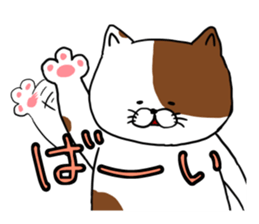 omanuke cat's sticker sticker #8648787