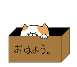 omanuke cat's sticker sticker #8648820