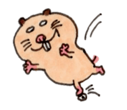 Kinkuma hamster "Hamuhamu"3 sticker #8649098