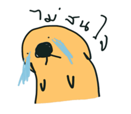 Lovely Cat Dog sticker #8651513