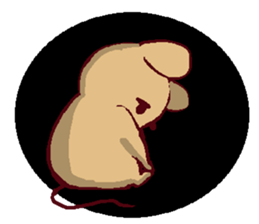 osakana cake08 sticker #8654022