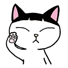 Pudding bowl haircut cat