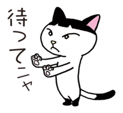 Pudding bowl haircut cat sticker #8655028