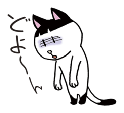 Pudding bowl haircut cat sticker #8655033