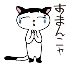 Pudding bowl haircut cat sticker #8655035