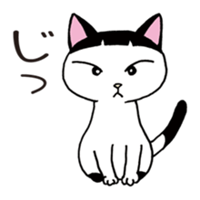 Pudding bowl haircut cat sticker #8655041