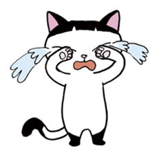 Pudding bowl haircut cat sticker #8655048