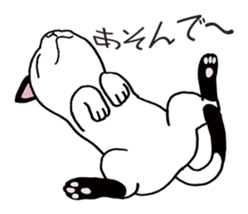 Pudding bowl haircut cat sticker #8655051