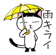 Pudding bowl haircut cat sticker #8655054