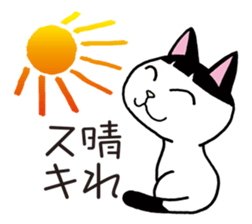 Pudding bowl haircut cat sticker #8655055