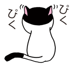 Pudding bowl haircut cat sticker #8655056