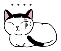 Pudding bowl haircut cat sticker #8655058