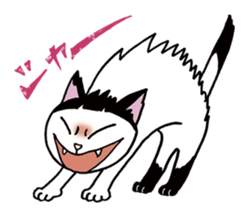 Pudding bowl haircut cat sticker #8655060