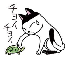 Pudding bowl haircut cat sticker #8655061