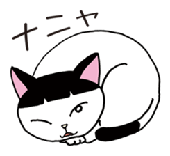 Pudding bowl haircut cat sticker #8655062