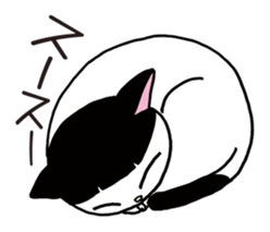 Pudding bowl haircut cat sticker #8655063