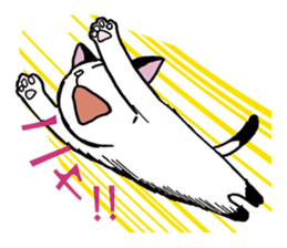 Pudding bowl haircut cat sticker #8655065