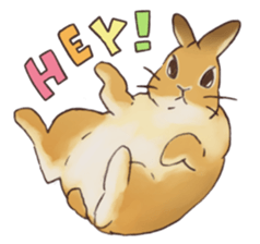 Funny Bunny's Sticker sticker #8657550