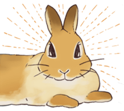 Funny Bunny's Sticker sticker #8657552