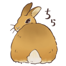 Funny Bunny's Sticker sticker #8657555