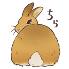 Funny Bunny's Sticker sticker #8657555