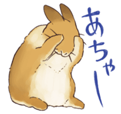 Funny Bunny's Sticker sticker #8657579