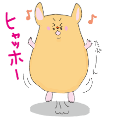 pocha hamu